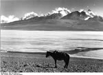 Bundesarchiv Bild 135-S-08-23-15, Tibetexpedition, Landschaftsaufnahme, See
