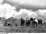 Bundesarchiv Bild 135-S-01-01-39, Tibetexpedition, Filmen Des Chomolhari