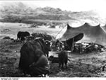 Bundesarchiv Bild 135-BAI-06-16, Tibetexpedition, Melken von Jaks