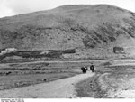 Bundesarchiv Bild 135-GB-1-02, Tibetexpedition, Straße mit Postreiter