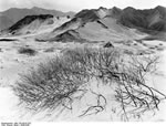 Bundesarchiv Bild 135-KB-07-023, Tibetexpedition, Sanddüne