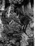Bundesarchiv Bild 135-S-02-14-09, Tibetexpedition, Landschaftsaufnahme, Tistal
