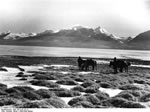 Bundesarchiv Bild 135-S-07-23-13, Tibetexpedition, Landschaftsaufnahme, See