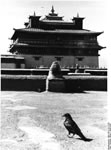 Bundesarchiv Bild 135-S-15-17-03, Tibetexpedition, Kloster Samye