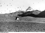 Bundesarchiv Bild 135-S-07-12-26, Tibetexpedition, Landschaftsaufnahme, Schneefinken