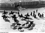 Bundesarchiv Bild 135-S-12-08-19, Tibetexpedition, Straße, Vieh, Reiter, Wanderer